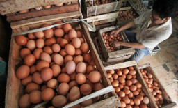 Harga Telur di Blitar Meroket, Tembus 31 Ribu Rupiah per Kilogram