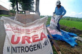 Stok Pupuk Subsidi Cukup Hingga Juli