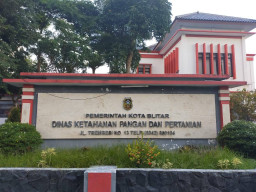 Retribusi Pemotongan Hewan Kurban di RPH Blitar Digratiskan Saat Idul Adha