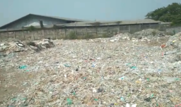 Bertahun-tahun, Limbah PT Buana Megah Dipakai untuk Bahan Bakar Pabrik Tahu dan Kerupuk