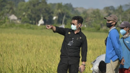 Kementan Targetkan Ekspor Komoditas Pertanian di 2023 Tembus Rp940,4 Triliun