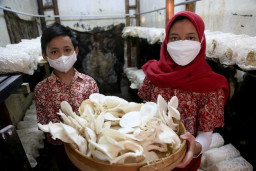 12 Sekolah di Surabaya Lolos Tahap Awal Adiwiyata Jatim 2021