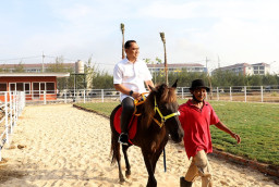 Pemkot Surabaya Buka Eco Wisata Romokalisari Bulan September Ini