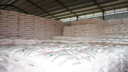 APPI Jatim Soroti Penyelundupan Pupuk Bersubsidi