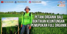 GDM Organik Optimis Tingkatkan Kualitas