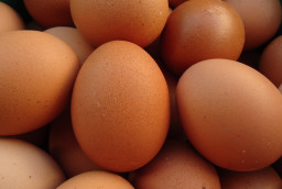 Harga Telur Naik, Pemkot Surabaya Bakal Gelar Operasi Pasar