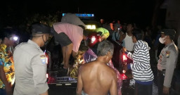 Pemotor Tewas Tertimpa Pohon Tumbang