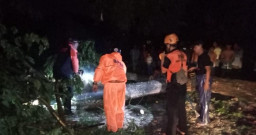 Puluhan Rumah di Jember Rusak Akibat Angin Kencang