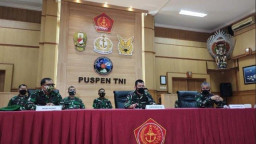 Sel Denditrik Dikembangkan untuk Tangani Covid-19