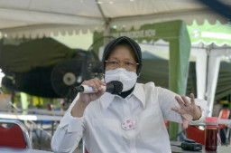 Inilah Alasan Risma Sebut Surabaya Sudah Zona Hijau