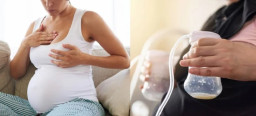 Ahli: Memompa ASI Saat Hamil Tidak Disarankan dan Berisiko Keguguran