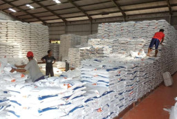 Impor Beras 200.000 Ton, CIPS: Ketahanan Pangan RI Terancam