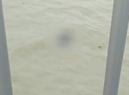 Jenazah Ditemukan Dibawah Jembatan Suramadu