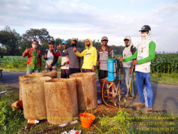 Bersama Petani Dipertabun Kabupaten Kediri Kendalikan Hama Ulat Grayak