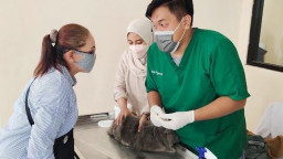 Disnakeswan Lamongan Gelar Vaksinasi Rabies Gratis