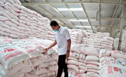 Penebusan Tak Sesuai Jadwal, Pupuk Subsidi di Bangkalan Langka