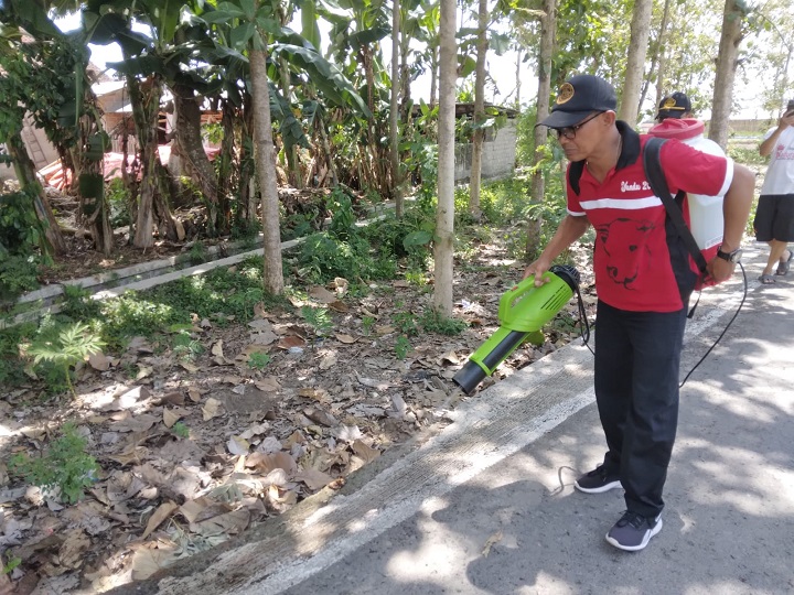 Petugas menyemprotkan insektisida untuk membasmi ulat bulu yang meneror warga. SP/Lestariono