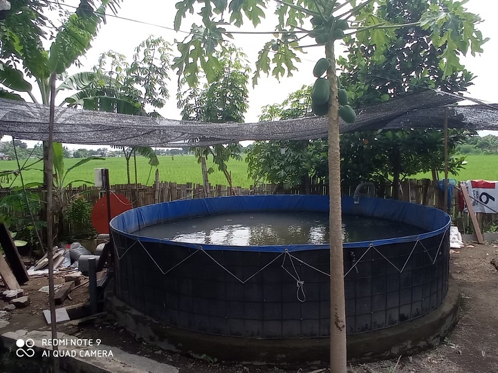 Bio flok atau bak dari bahan terpal plastik bantuan dari pemkot Pasuruan. SP/Dir