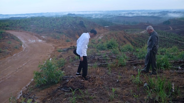 Presiden Jokowi saat meninjau ibu kota baru di Kecamatan Sepaku, Kabupaten Penajam Paser Utara, Kalimantan Timur, Selasa (17/12/2019) lalu.