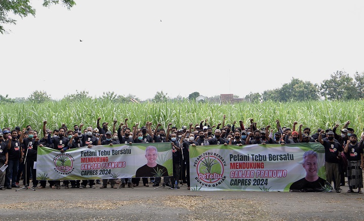 Para petani tebu di Jawa Timur bersatu, dengan mengatasnamakan Petebu, mendukung Ganjar Pranowo untuk menjadi calon presiden 2024, mendatang. APTRI untuk SP