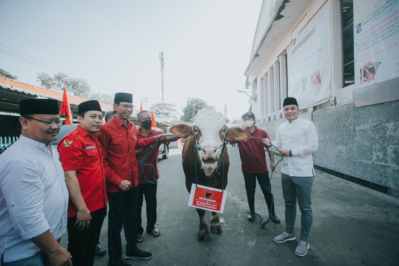 Wali kota Surabaya Eri Cahyadi dan Ketua DPC PDIP Surabaya Adi Sutarwijono, menyerahkan sapi kurban,  Minggu (10/7). Foto SP/Qomar