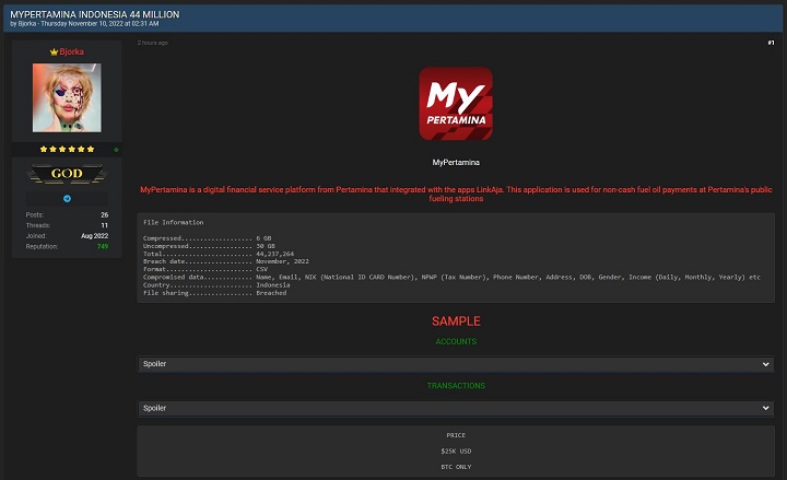 Display peretasan 44 juta data pengguna MyPertamina yang dipamerkan Bjorka, Kamis (10/11).