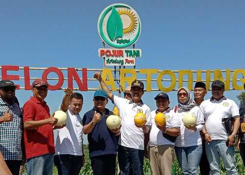 Peresmian Wisata Petik Melon Sultan, di Desa Artodung, Kecamatan Galis, Kabupaten Pamekasan, Sabtu (5/8/2023).