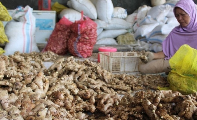 Salah satu home industri pengolahan kunir di Kabupaten Banyuwangi. SP/ BYW