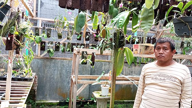 Dwi Setiawan dengan spesies baru anggrek miliknya. SP/ SBY