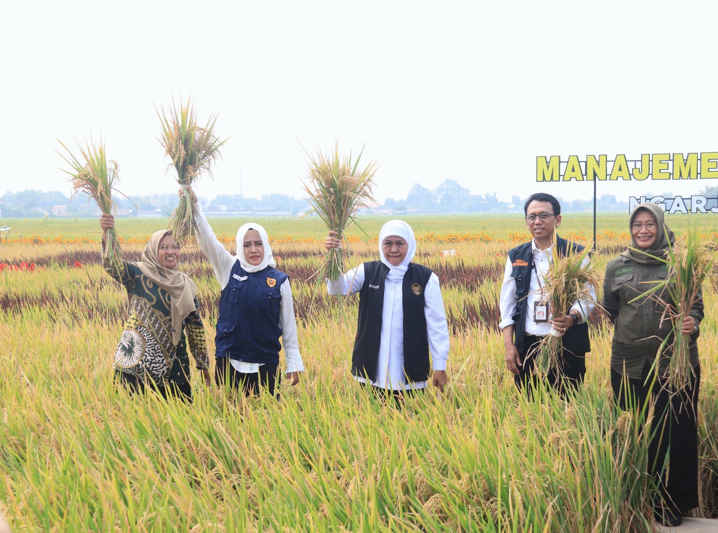 Gubernur Jawa Timur Khofifah Indar Parawansa meresmikan pencanangan Manajemen Tanaman Sehat (MTS) Jawa Timur di Desa Ngarjo, Kecamatan Mojoanyar, Kabupaten Mojokerto, Kamis (7/9/2023).