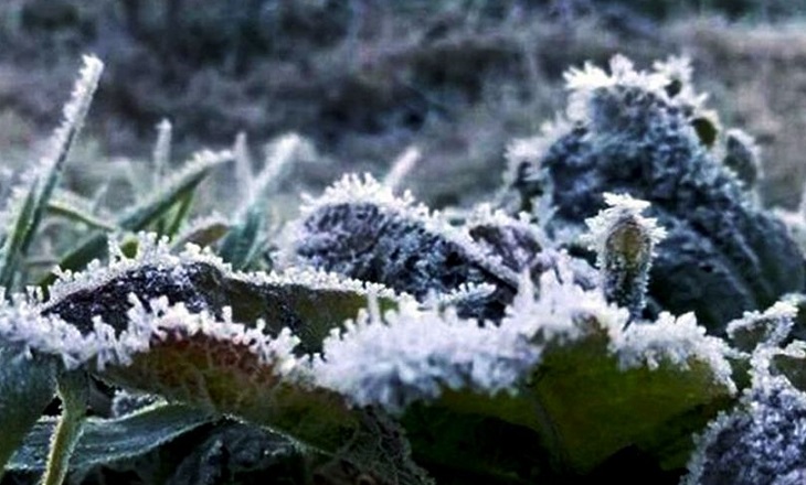 Ilustrasi fenomena embun salju atau frozen di Ranupani, Lumajang