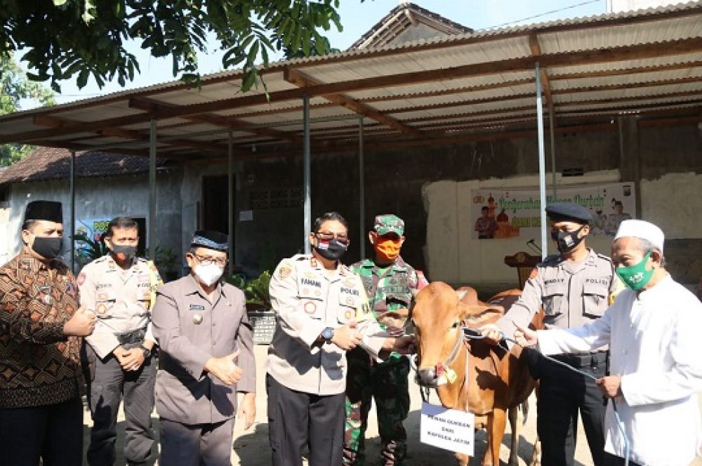 Kapolres Blitar AKBP Ahmad Fanani di dampingi Bupati Blitar Riyanto secara simbolis menyerahkan Lembu ku rban di Ponpes.Les