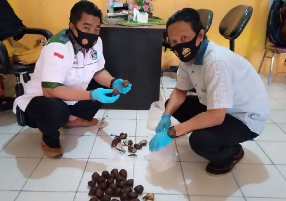 Pelaku Penyelundupan Pil Dobel L di Lapas Jombang Berhasil Diamankan