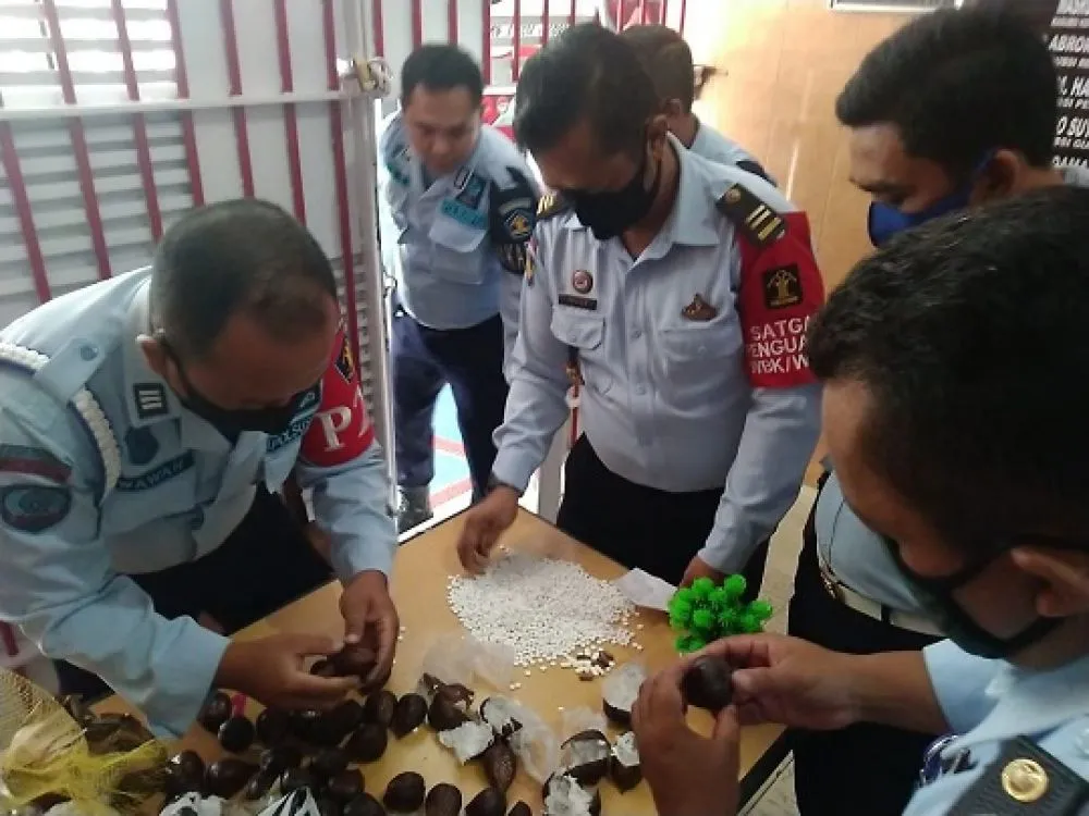 Modus Baru, Ribuan Pil LL Diselundupkan di Dalam Salak