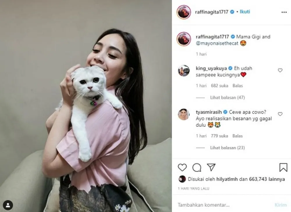Adopsi Kucing Berpaspor Rusia dan Ukraina
