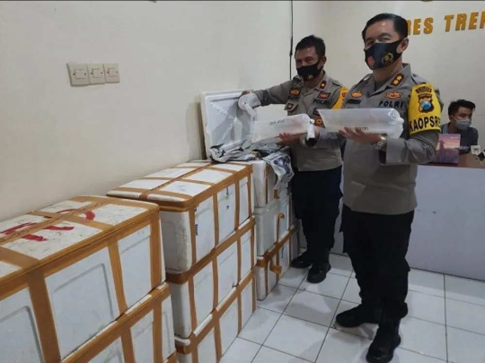 38 Ribu Benur Lobster Nyaris Diselundupkan ke Luar Negeri