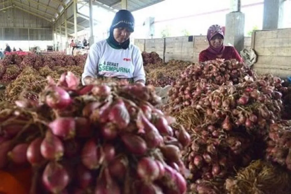 Bawang Merah Naik Lagi, Disperindang Probolinggo Pantau Pasar Daerah