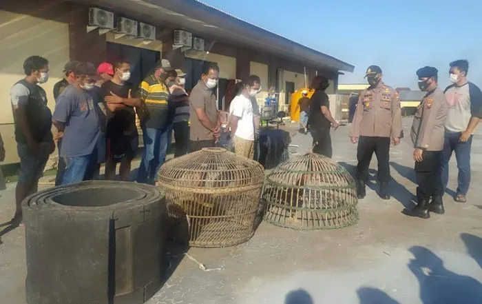 Judi Sabung Ayam Digerebek, 13 Orang Diamankan