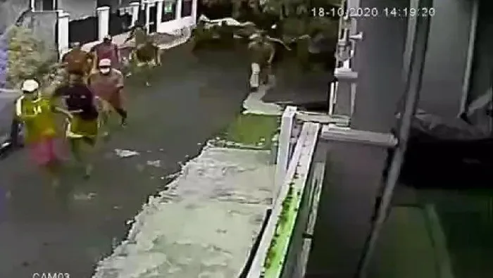 Judi Sabung Ayam Digerebek, Pejudi Kocar-Kacir