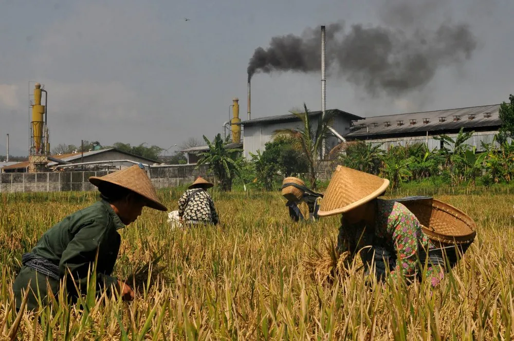 Sawah di Kota Malang Menipis, Dewan Ajukan Perda Lahan Pertanian