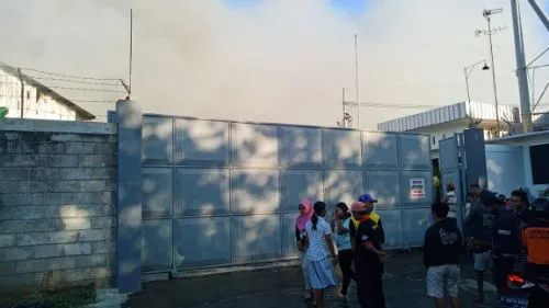 Pabrik Pemotongan Ayam di Jombang Dilalap Api