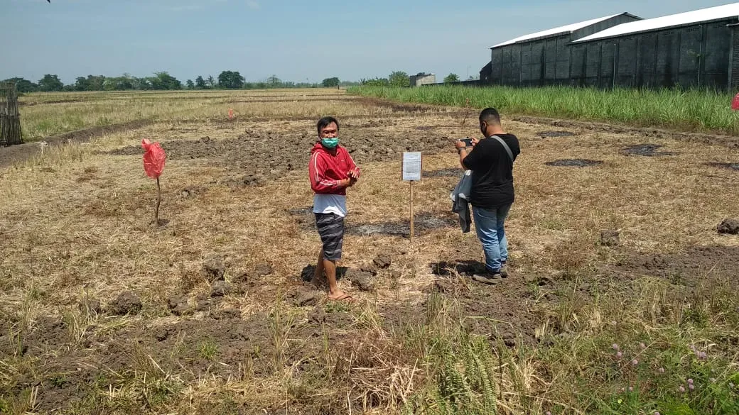 Bahan Koin Kuno dari Kuningan dan Tembaga, Dilebur untuk Kerajinan Patung