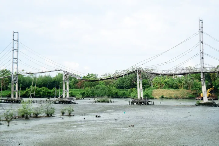 Jembatan Bambu Mangrove, Proyek Mercusuar Risma