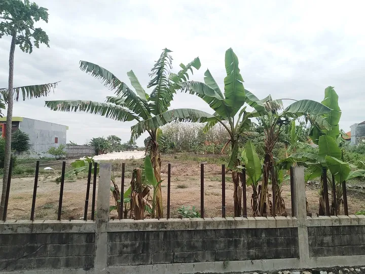 Penyerobot Tanah PW Afandi Sudah Dikeluarkan