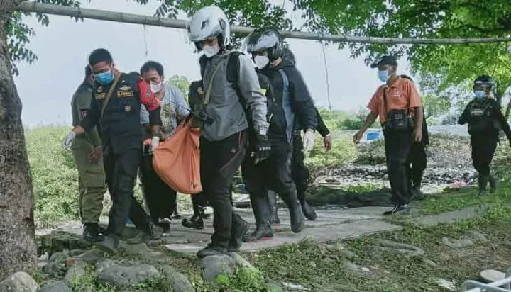 Mr X Tergantung di Pohon Bakau