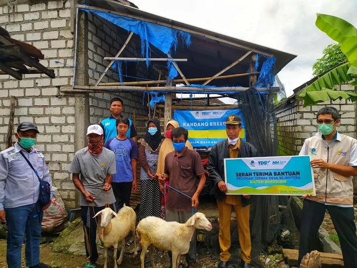 Lazis PJB dan NH Zakatkita Salurkan 80 Ekor Kambing Bunting