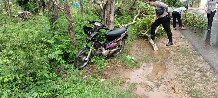Pengendara Sepeda Motor di Sumenep Tertimpa Pohon