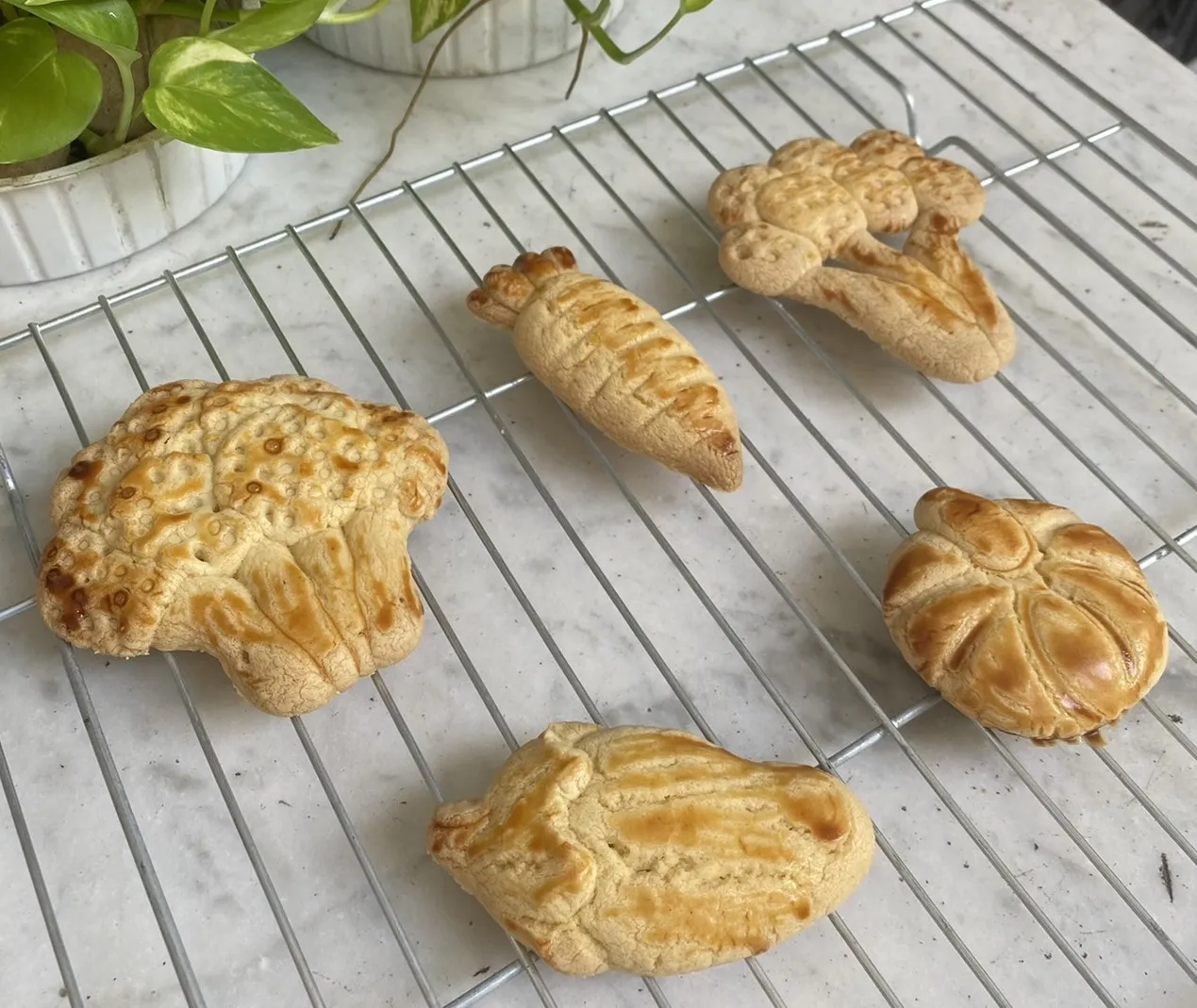 Veggie Cookies Buatan UK Petra, Siasati Anak Tak Suka Sayuran