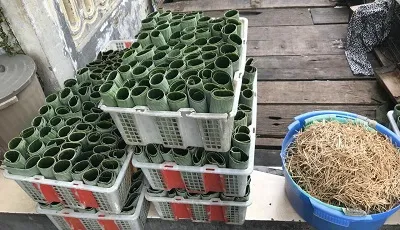 Ini Harapan Pengusaha Kampung Lontong untuk Walikota Baru Surabaya