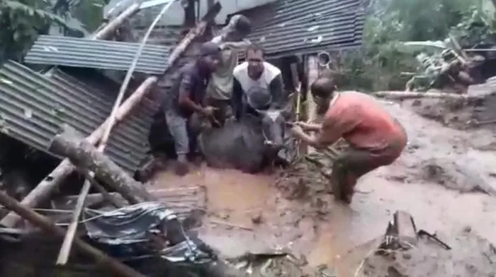 Longsor di Pasuruan Rusak Jembatan dan Kandang Sapi Warga